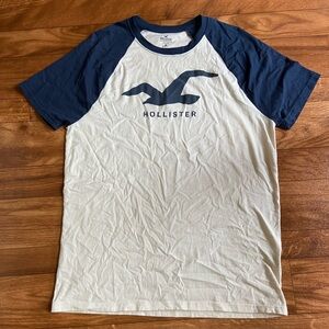 🖤🪽 Hollister t shirt 🪽🖤